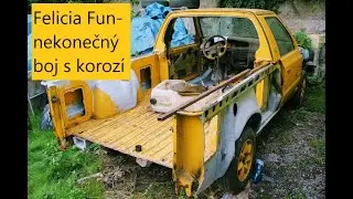 Felicia Fun- nekonečný příběh 2013-???