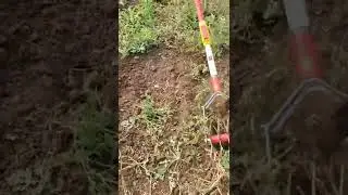 Wolfgarten Weeder Tool is very useful. Every farmer needs one!
