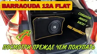 Отзыв Barracuda 12A Flat посмотри прежде чем покупать #москвич3 #dlaudio #автозвук