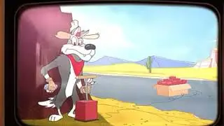 Coppa 2020 in a nutshell