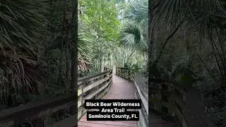 Hiking Black Bear Wilderness Area Trail - Swampy Dog-Friendly Adventure in Seminole County, FL