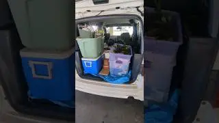 Decluttering my plants before the move #declutter #plants #moving #organization #cleaning #military