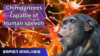 Chimpanzees communicate in Human words! #science #ChimpanzeeSpeech #TalkingApes #AnimalIntelligence