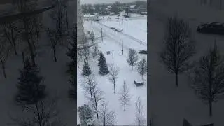 My view in Cleveland right now.