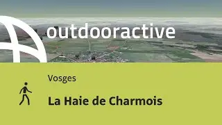 Randonn&eacute;e en Vosges: La Haie de Charmois
