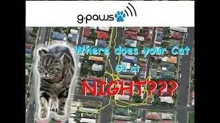 G-PAWS CAT/DOG TRACKER - WHERE DOES YOUR PET GO AT NIGHT?