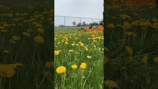 Have Grass? You Need a Trackless Rotary Finishing Mower!