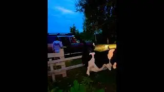 Табор уходит в небо 🌌 #романтика ☘️#приключения #простоквашино #ранчо #villagevlog #casa #дом