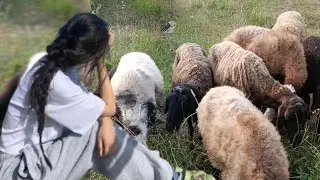 Village life iran: country life vlog | rural events films | country life beautiful 