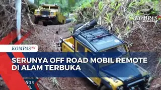 Serunya Off Road Mobil Remote Di Alam Terbuka