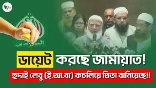 নেই চরমোনাই, নেই টেনশন? অনিশ্চয়তার অবসান? The Bngla Pulse