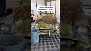 Old American Car Washing 💦🇺🇸 #carwash #carwashing #carcleaning  #cars   #vintagecar #oldcar
