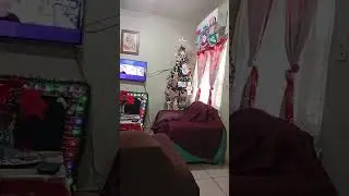 CHAPITO, BODOQUITO Y YO est&aacute; en vivo