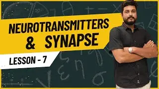 Neurons & Synapse | Neurotransmitters Explained in Hindi 🧠#neuroscience #anatomy #physiotherapy