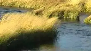 Altai-Kai - Jерим (Моя земля)