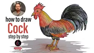 how to draw cock step by step | rooster drawing | মোরগ   |  Drawing Key
