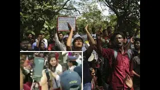 Aarey protest: Shiv Sena leader Priyanka Chaturvedi detained by Mumbai police