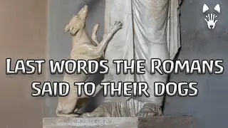 5 Heartbreaking Roman Dog Epitaphs | Narrated in English y en Espa&ntilde;ol
