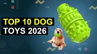 Top 10 Dog Toys 2026 | Pup Playthings