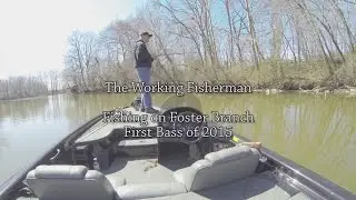 Bass Fishing on Foster Branch Joppatowne Maryland