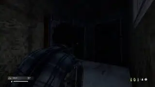 DayZ - Pandemic Outbreak 1.0 - Desolate VS FRESHIES!