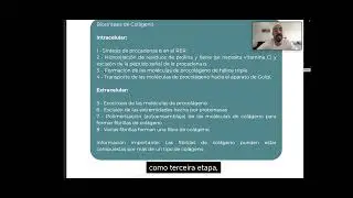 TEJIDO CONECTIVO - CELULA