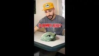 Давайте поговорим о Дампи. Кто она? Эта гигантская лягушка существует? #bigfrog #vfx #cgi #zachki...
