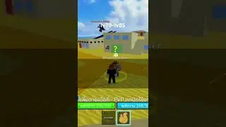 lv70-lv85
