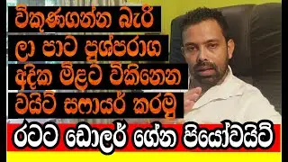 විකුණගන්න බැරි ලාම ලා පැහැති පුශ්පරාග දියමන්ති වගේ පියෝ වයිට් කරන විදිය#Gemstonesidentification