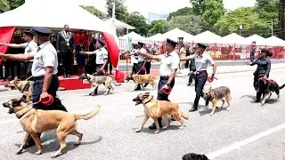 Port Of Spain Celebrates 111 Years Of Civic Rights With City Day Parade