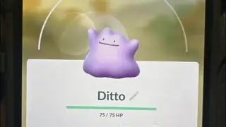 Ditto shiny hunt! pokemon go #pokemon  #chill