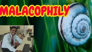 MALACOPHILY | TAMIL | SEXUAL REPRODUCTION IN FLOWERING PLANTS | POLLINATION BY SNAIL | STD 12
