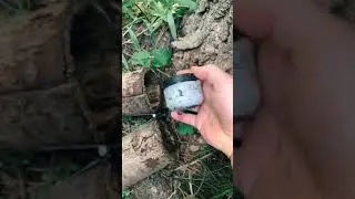 The Fake Log Was A Geocache!
