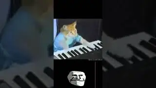 GatoBen te extra&ntilde;amos 🙂🕊️