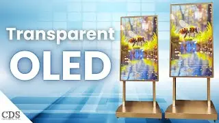 55-inch Transparent OLED Kiosk by CDS | Next-Gen Digital Signage with Stunning Clarity & Innovation