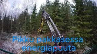 Pakkasp&auml;iv&auml;n harvennusta Prosilva S3 & kesla19