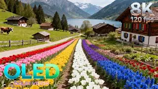 Pure Nature: Switzerland in Ultra Detail | 16K HDR 240fps Dolby Vision