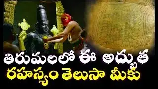 తిరుమలలో చాలామందికి తెలియని ఈ రహస్యం|Tirumala temple Mystery revealed in telugu