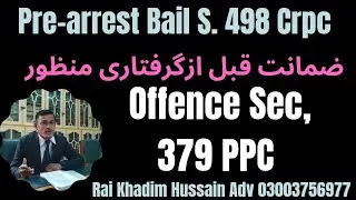 Pre-arrest Bail Confirmed 498 Crpc | Bail grant | Offence Sec,379 PPC | ضمانت قبل از گرفتاری منظور
