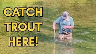 Trout Fishing at Roaring River State Park/Missouri Ozarks