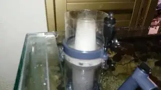 Skimmer Boyu wg308