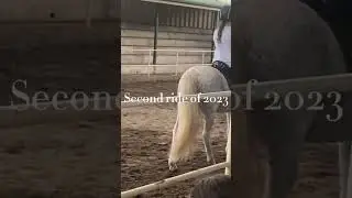 Glow up 🤓 totally 😅 #equestrianvibes #horse #equestrian #equestrianworld
