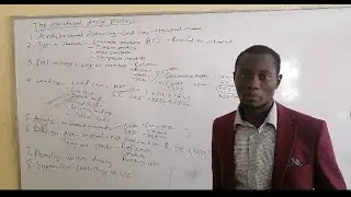 The structural design process