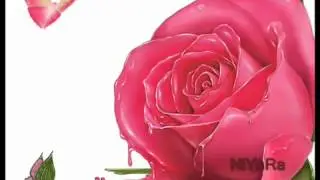 hoshyar hama faraj 1
