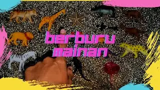 PlayNight Toys | Berburu Mainan | Hewan Darat | Hewan Laut | orca toys. | cari megalodon