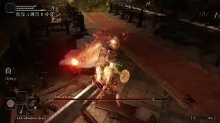 Elden Ring Bullying Elemer of the Briar Dryleaf Arts True RL1