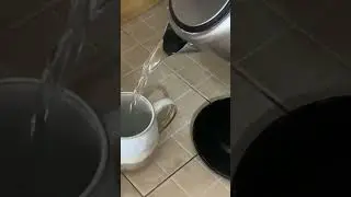 Amazon Basics Electric Water Kettles
