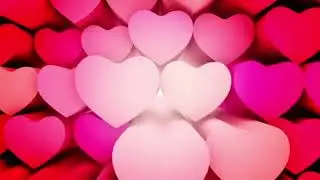 2/8