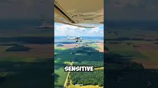 Why Do Pilots Stick Their Hand Out of the Window? 🤯 #vizonvoice #shorts