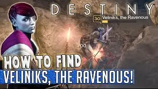 Destiny | How To Find VELINIKS, THE RAVENOUS! - Queens Wrath Bounty Guide!